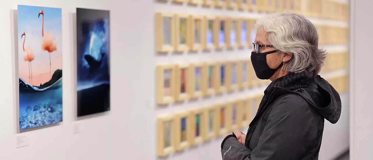 What Can You Do With a Degree in Art Wall