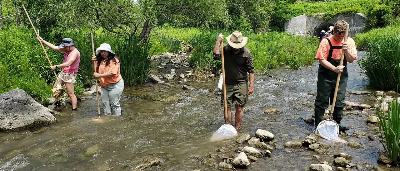 Field Entomology students