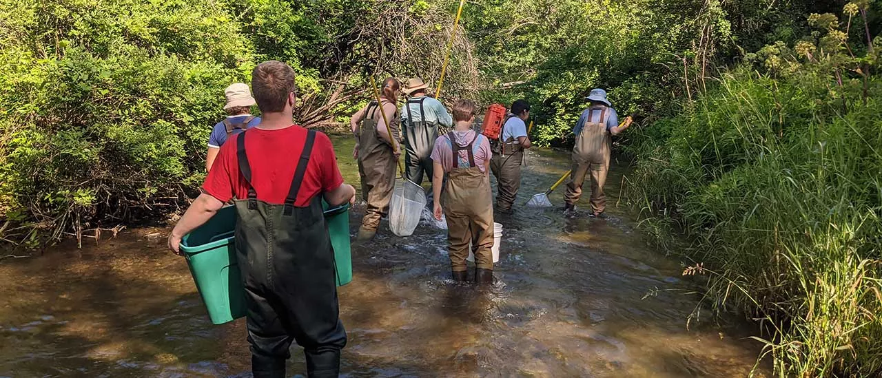 Field Entomology students