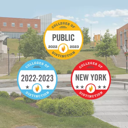 College of Distinction