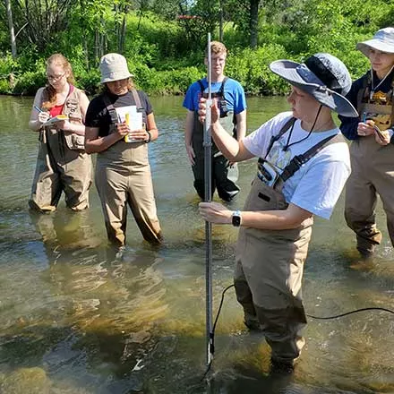 Field Entomology students