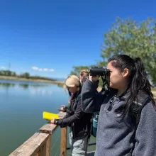 Sight Seeing at Rocky Mountain National Park