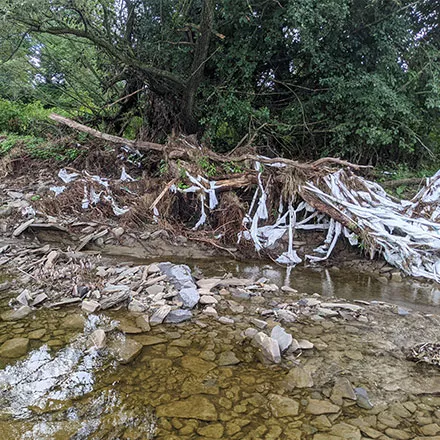 Calhoun Creek Cleanup