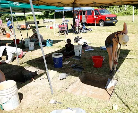 canopy covers dig site