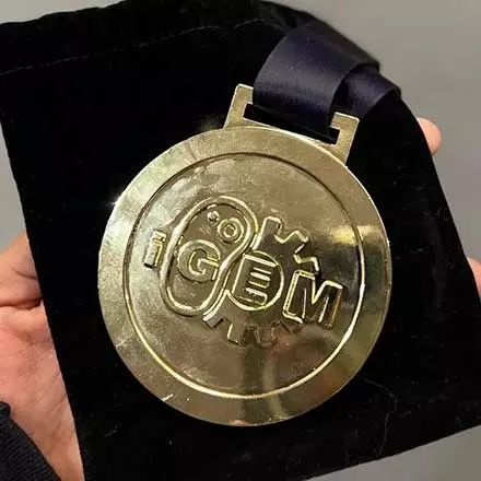 iGEM 2024 Gold Medal